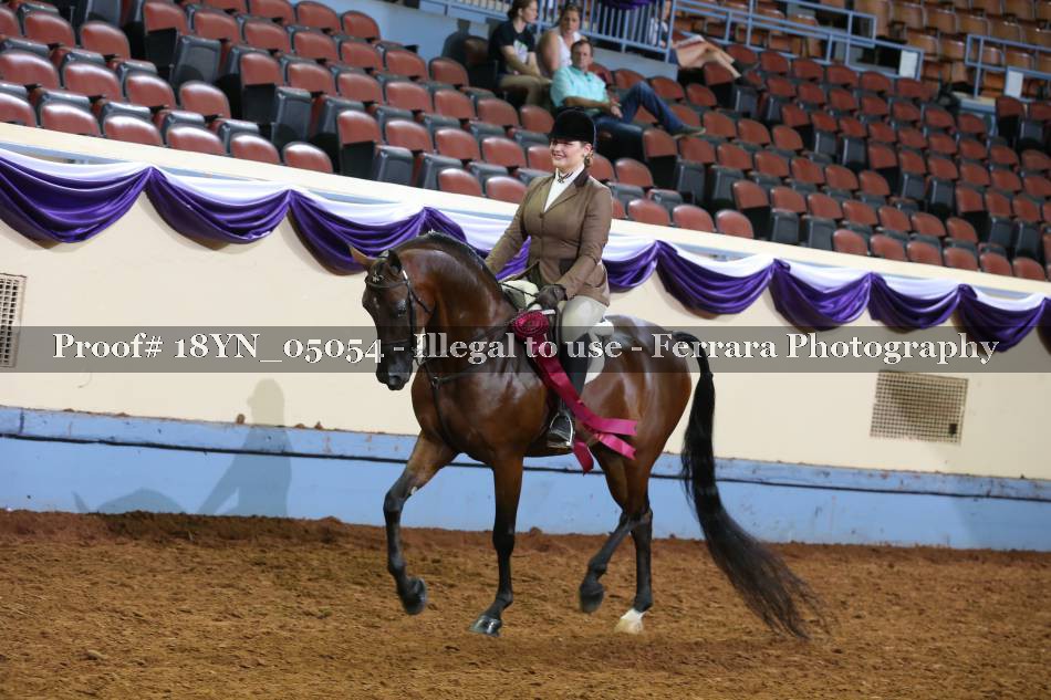 Proof 18YN_05054