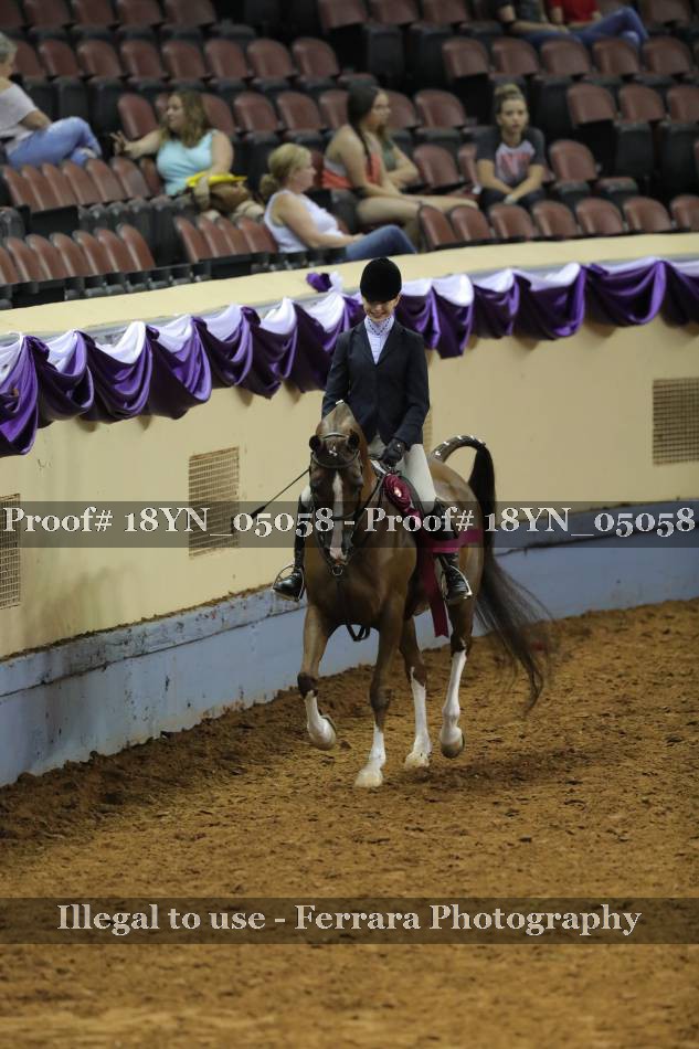Proof 18YN_05058