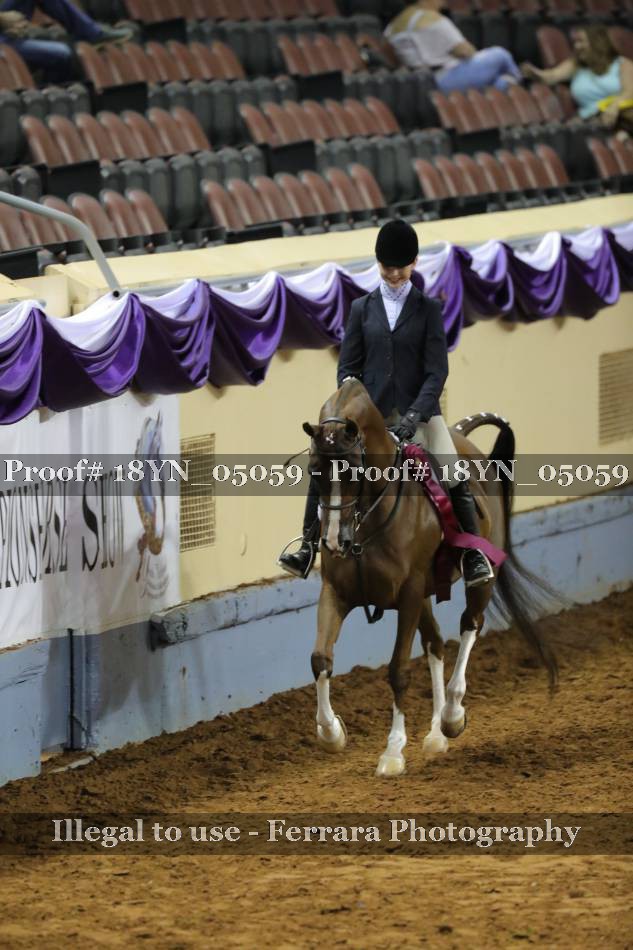 Proof 18YN_05059