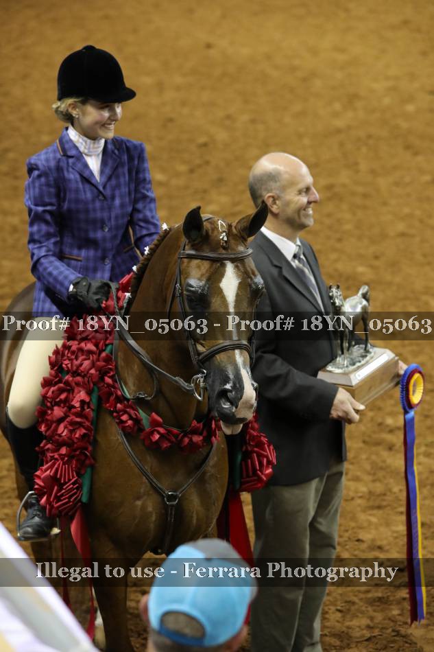 Proof 18YN_05063
