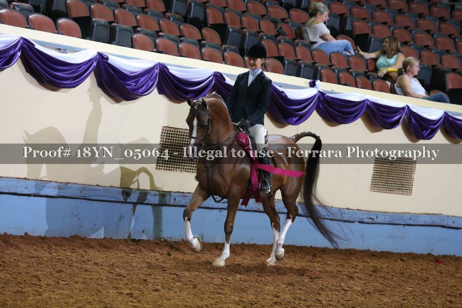 Proof 18YN_05064