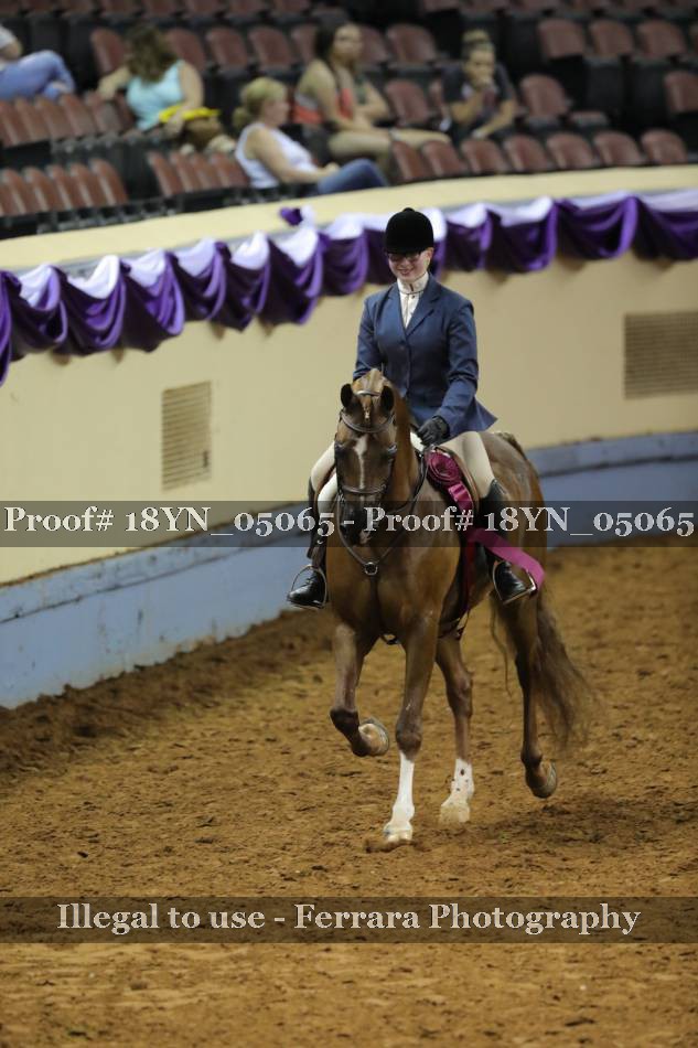 Proof 18YN_05065