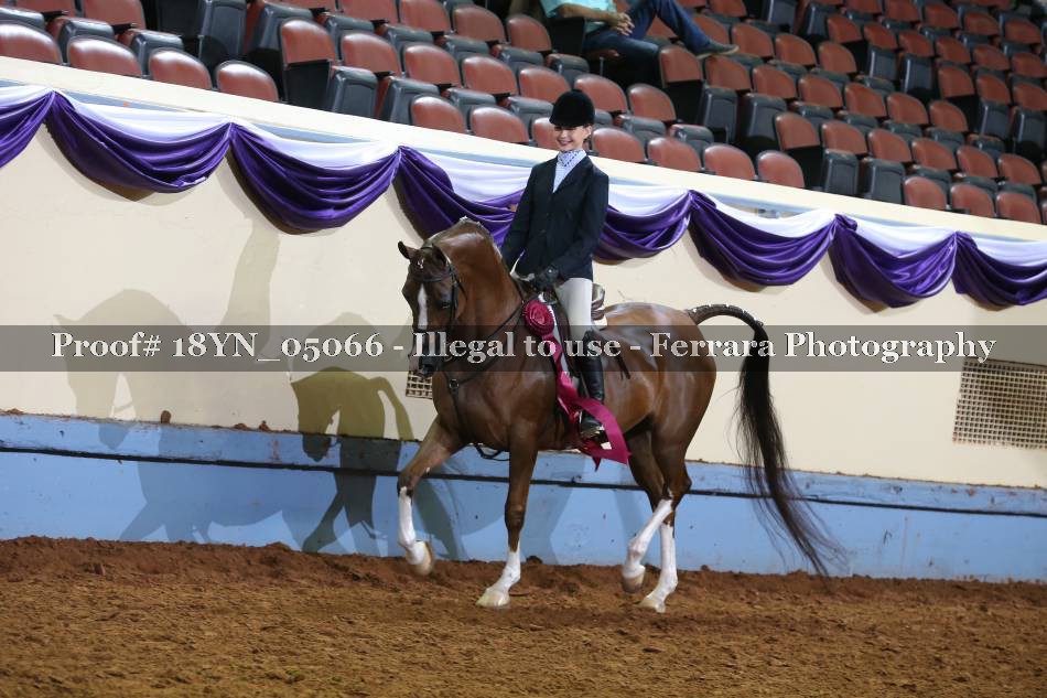 Proof 18YN_05066