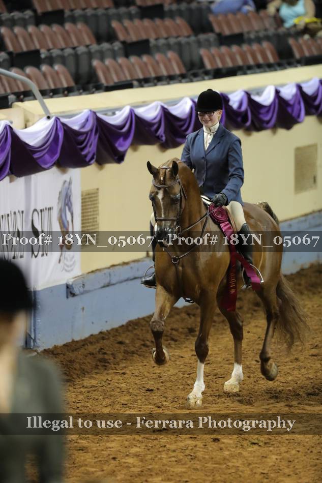 Proof 18YN_05067
