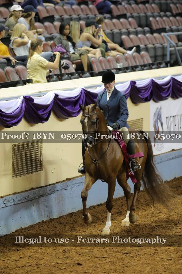 Proof 18YN_05070