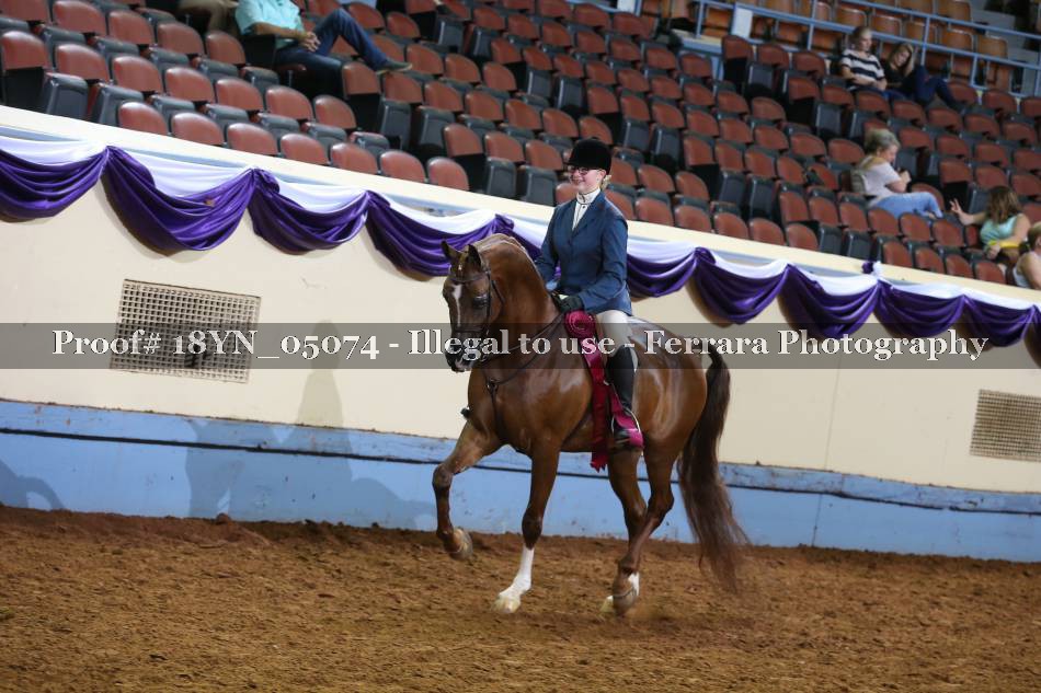 Proof 18YN_05074