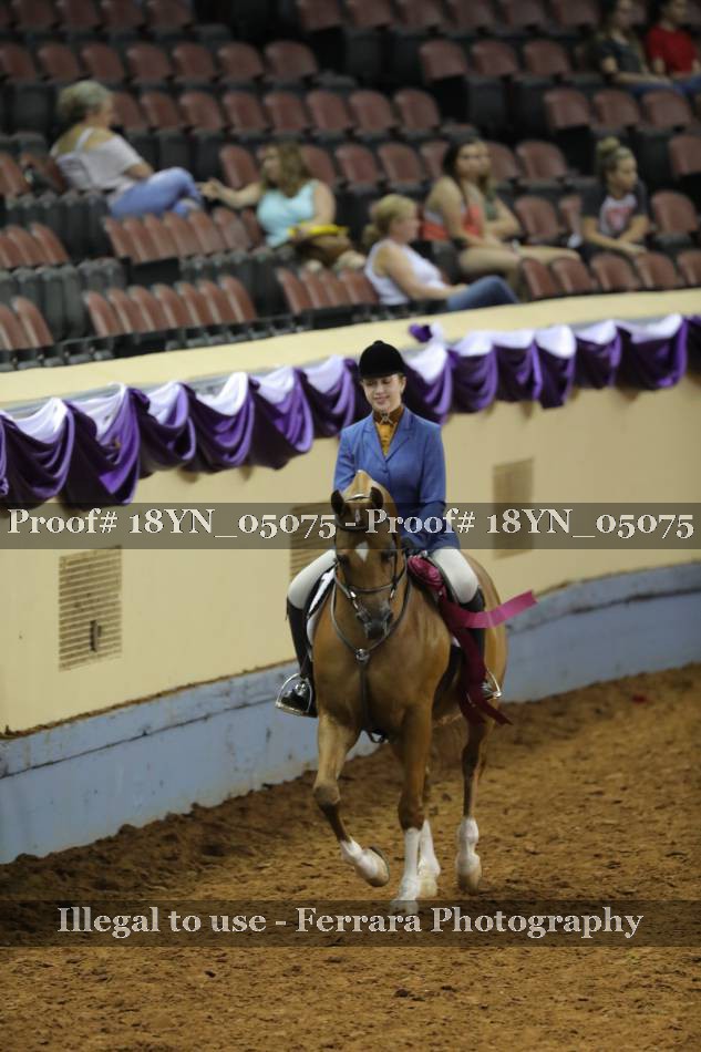 Proof 18YN_05075