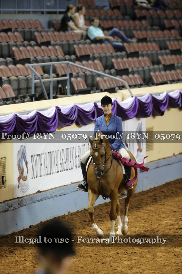 Proof 18YN_05079
