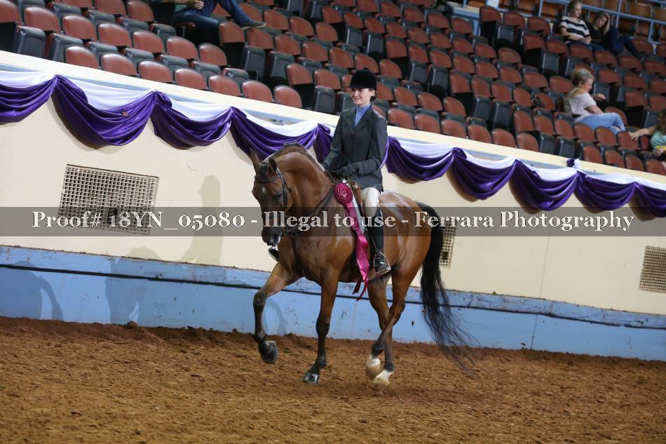Proof 18YN_05080
