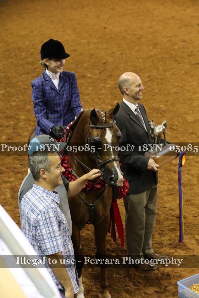 Proof 18YN_05085