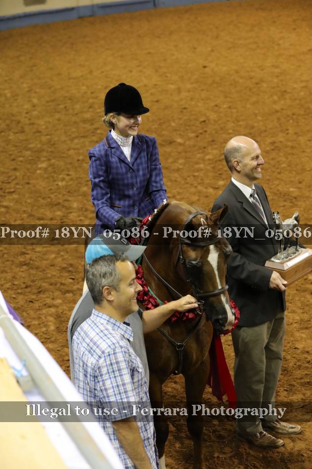 Proof 18YN_05086