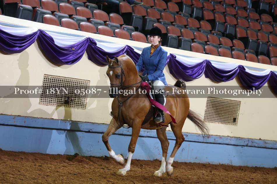 Proof 18YN_05087