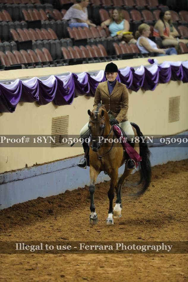Proof 18YN_05090