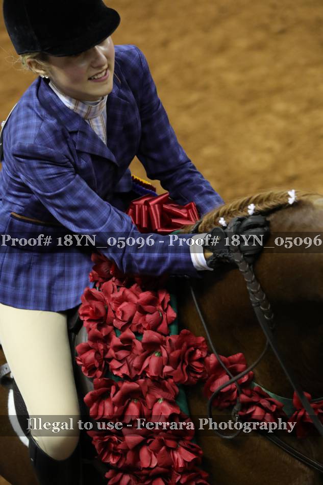 Proof 18YN_05096