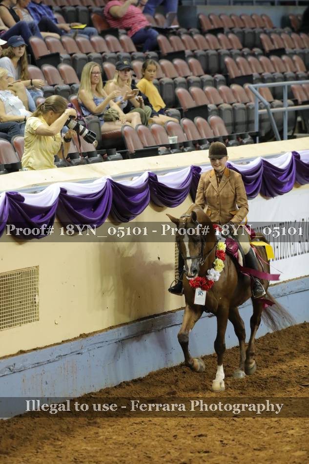 Proof 18YN_05101