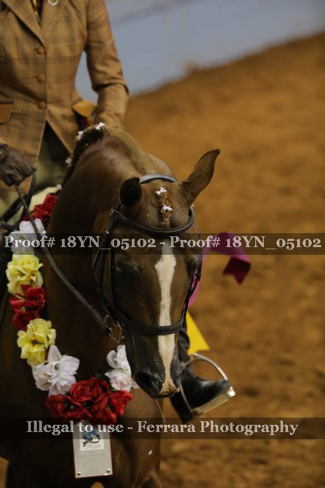 Proof 18YN_05102