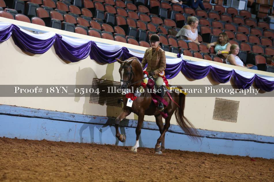 Proof 18YN_05104