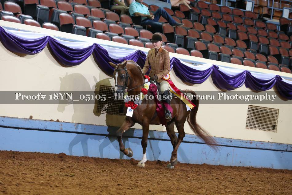 Proof 18YN_05105