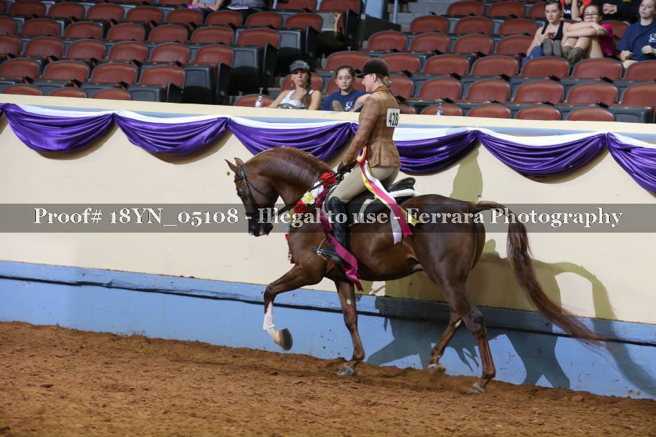 Proof 18YN_05108
