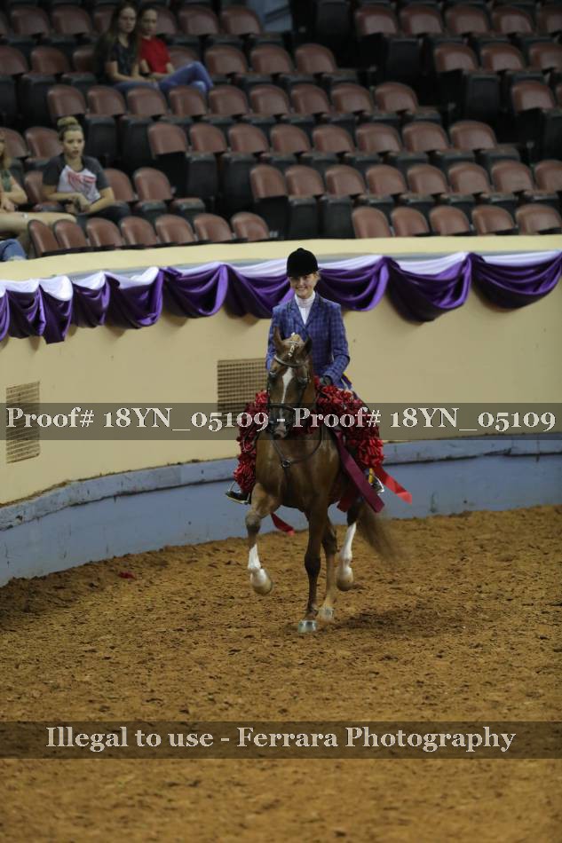 Proof 18YN_05109
