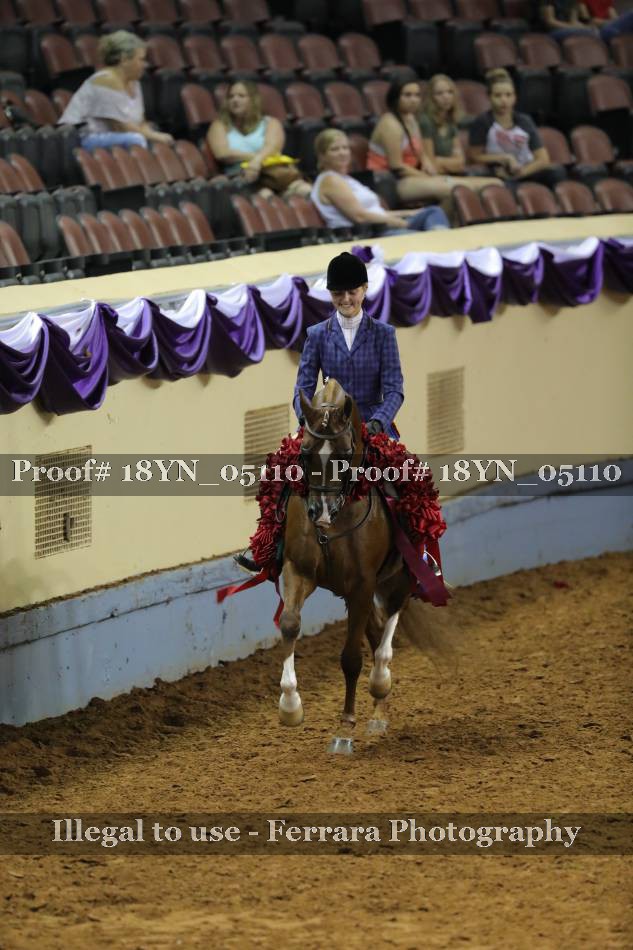 Proof 18YN_05110
