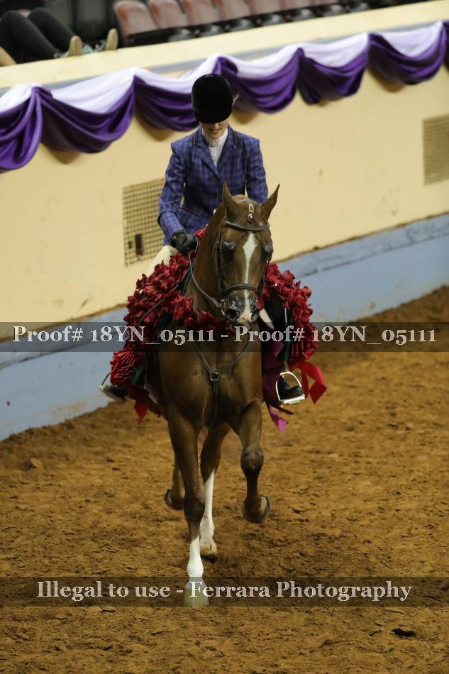 Proof 18YN_05111