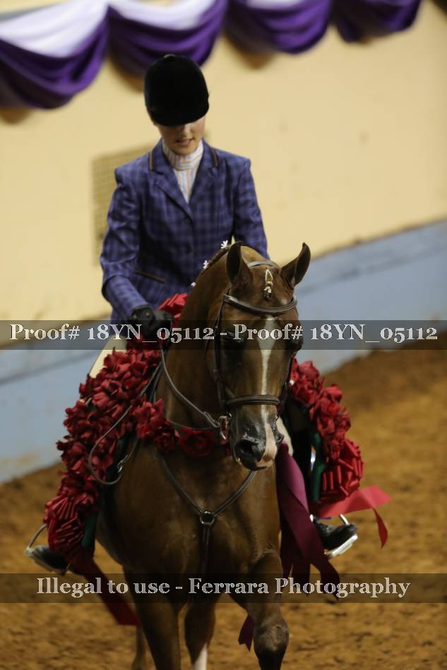 Proof 18YN_05112