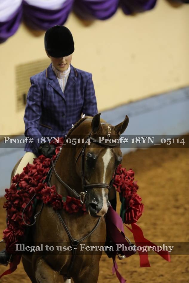 Proof 18YN_05114