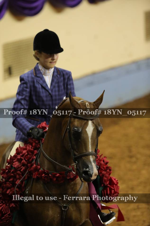 Proof 18YN_05117