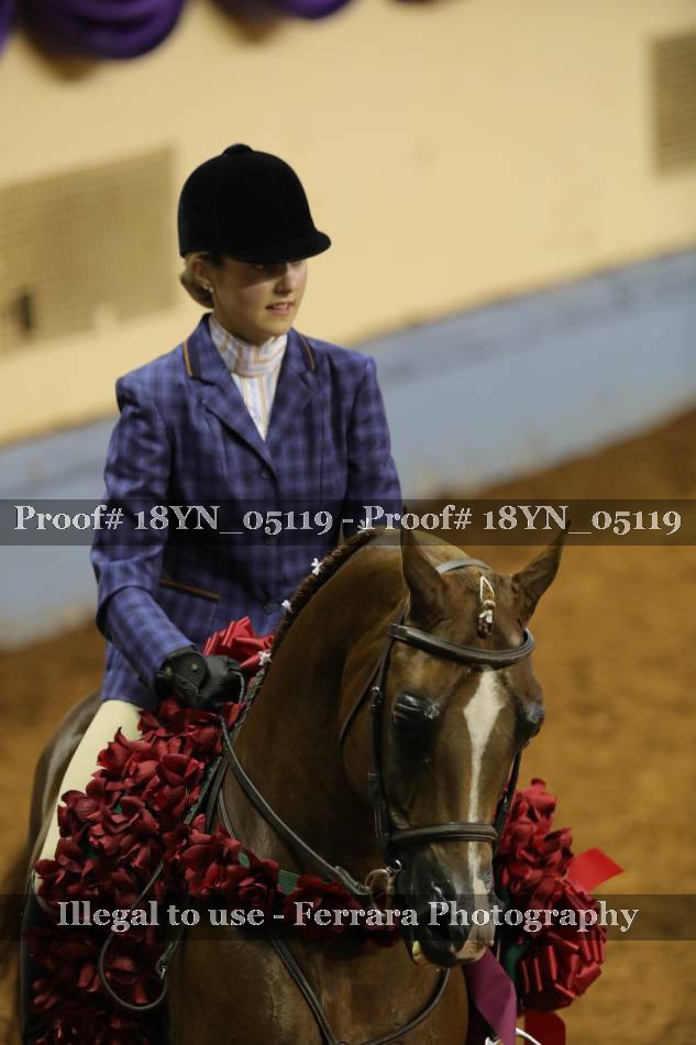 Proof 18YN_05119