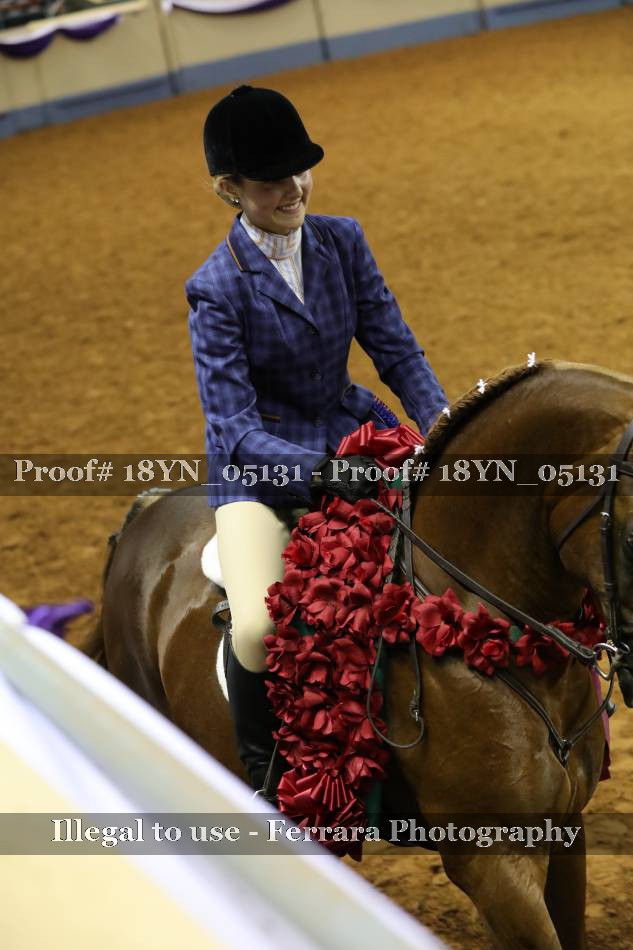 Proof 18YN_05131