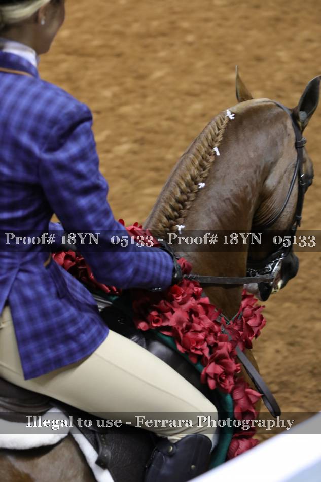 Proof 18YN_05133