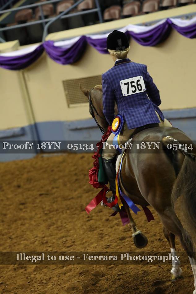 Proof 18YN_05134