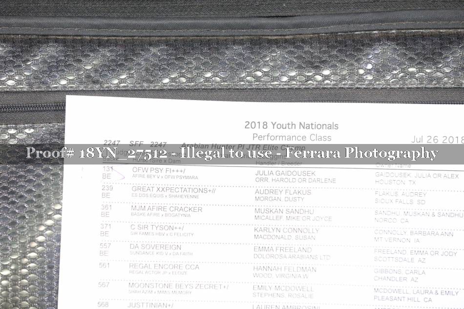 Proof 18YN_27512
