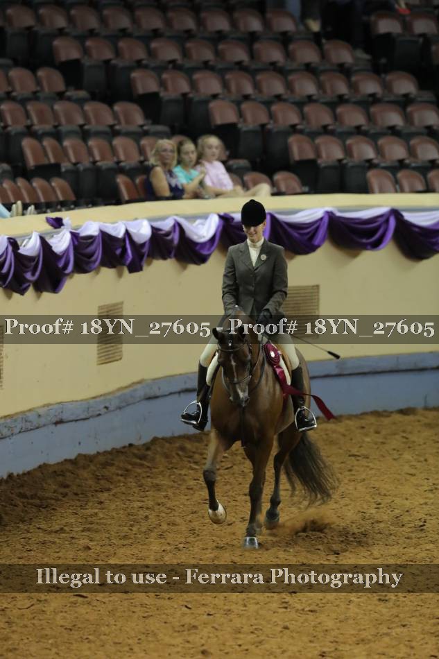 Proof 18YN_27605