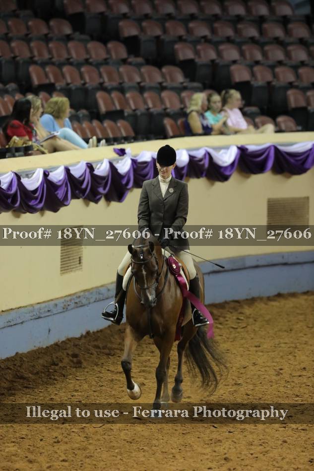 Proof 18YN_27606