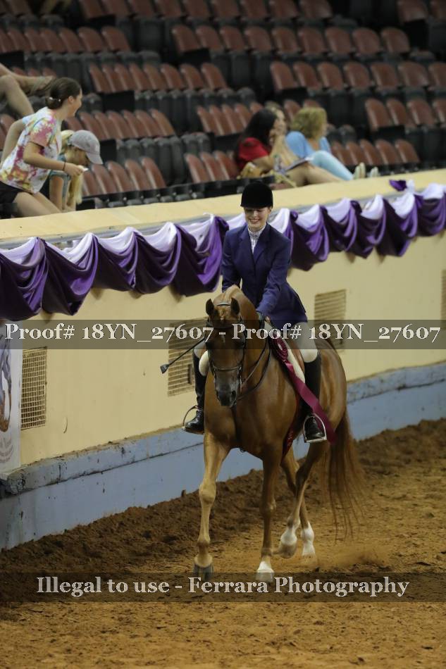Proof 18YN_27607