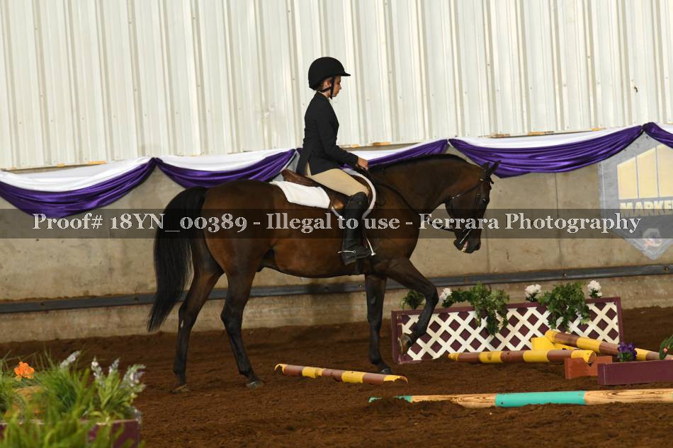 Proof 18YN_00389