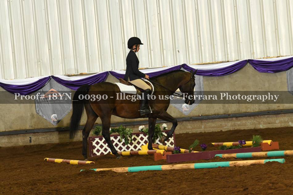Proof 18YN_00390