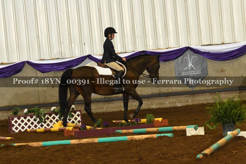 Proof 18YN_00391
