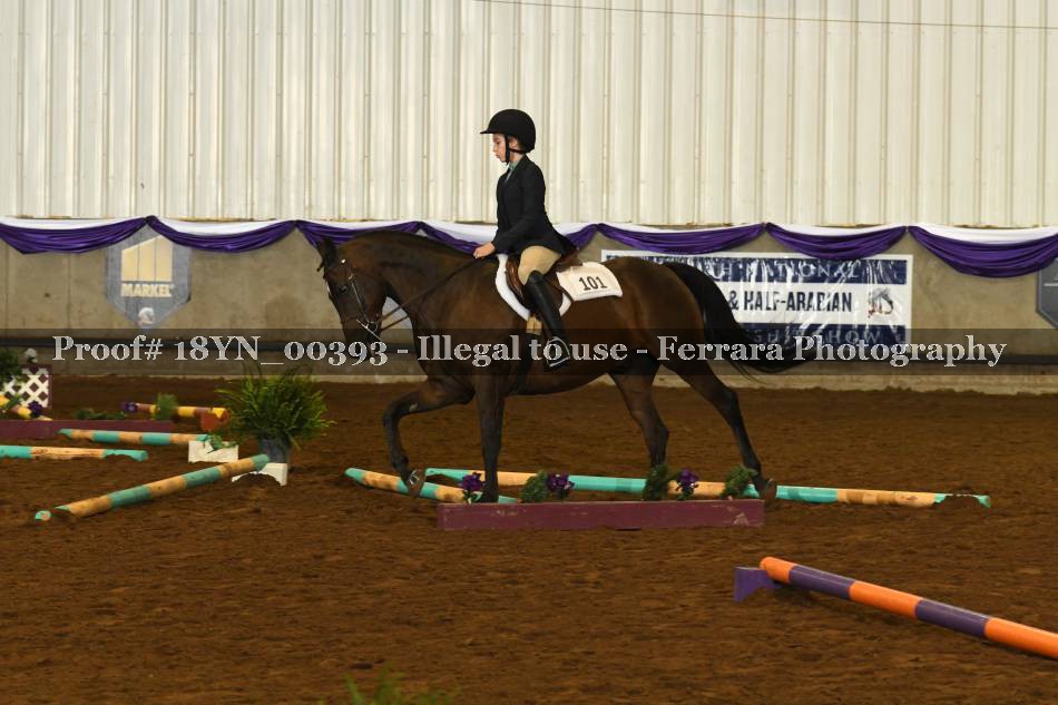 Proof 18YN_00393