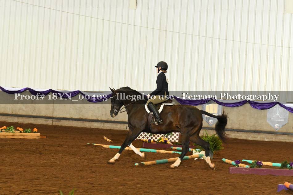 Proof 18YN_00403