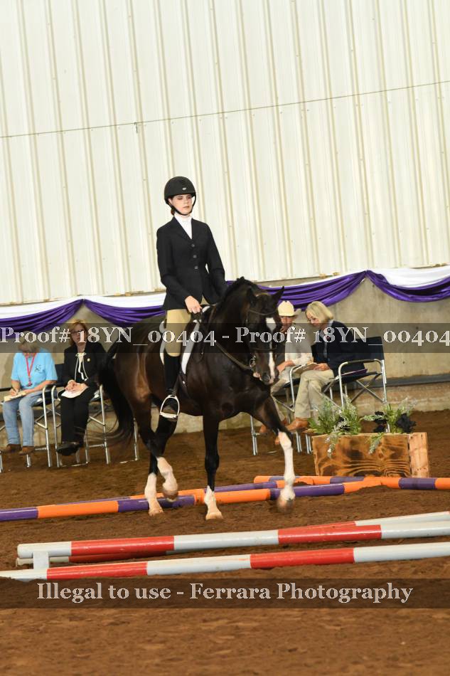 Proof 18YN_00404