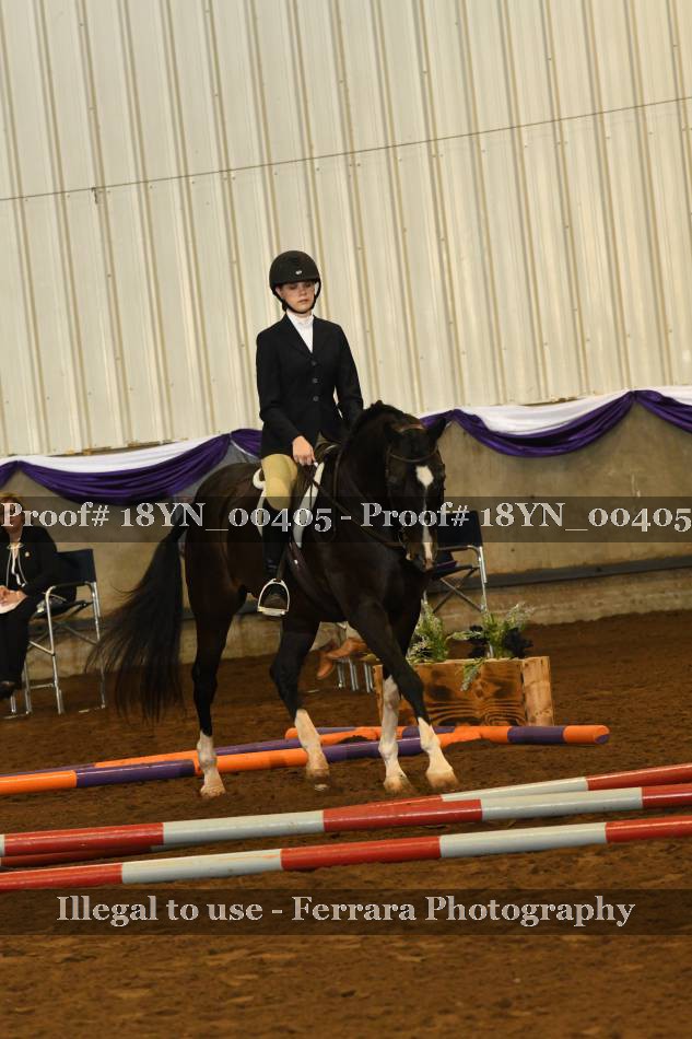 Proof 18YN_00405