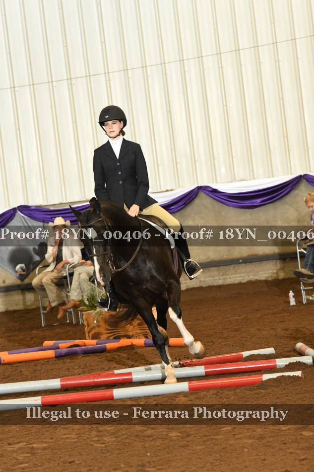Proof 18YN_00406
