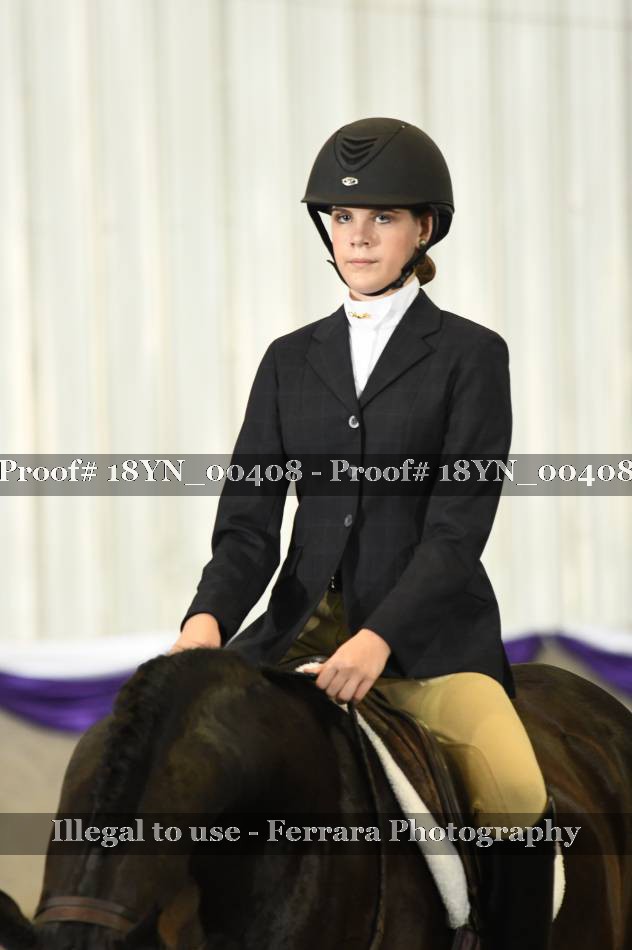 Proof 18YN_00408