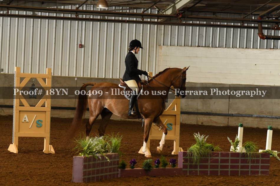Proof 18YN_00409