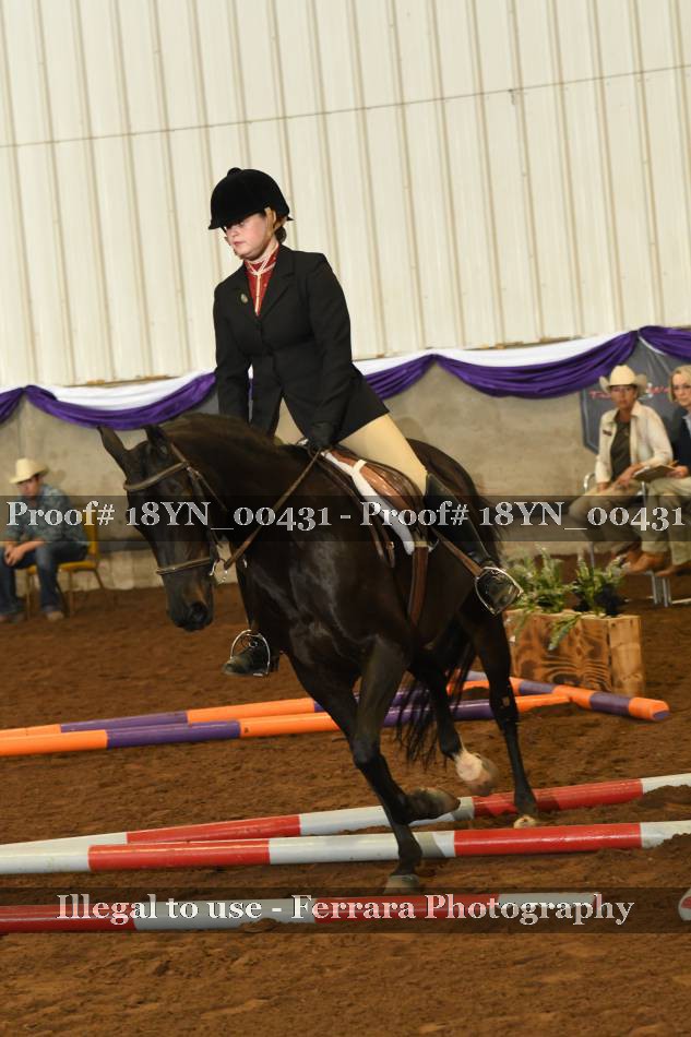 Proof 18YN_00431