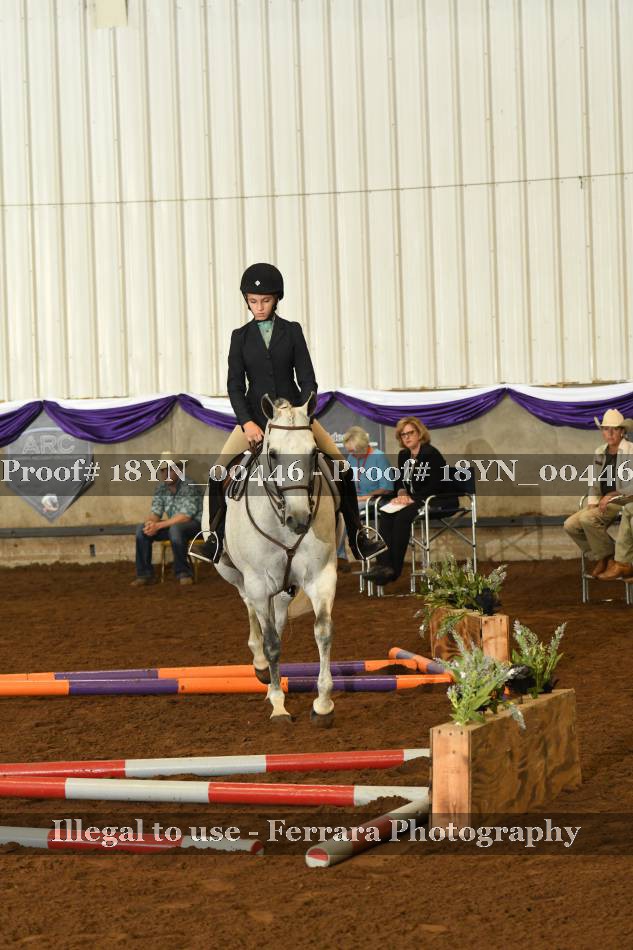 Proof 18YN_00446