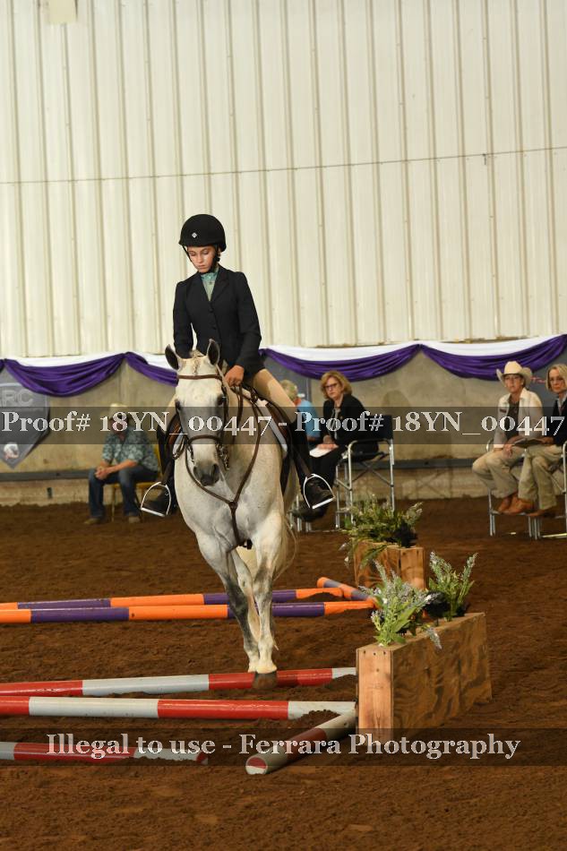 Proof 18YN_00447